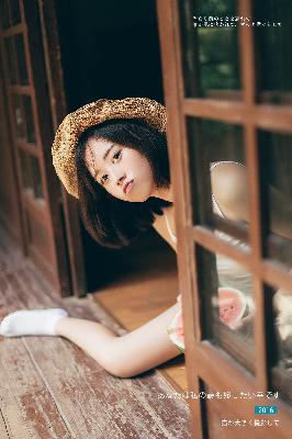 沧元图第二季在线完整免费观看