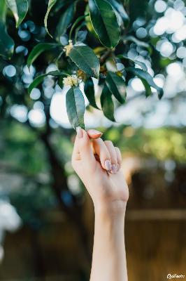 魔道祖师动漫全集免费观看完整版